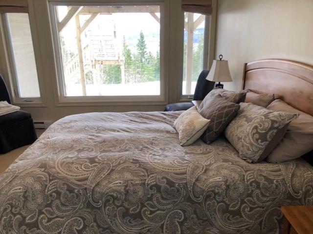 The Thoughtful Dog Bed & Breakfast South Brook Εξωτερικό φωτογραφία