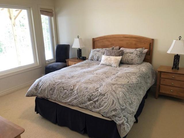 The Thoughtful Dog Bed & Breakfast South Brook Εξωτερικό φωτογραφία